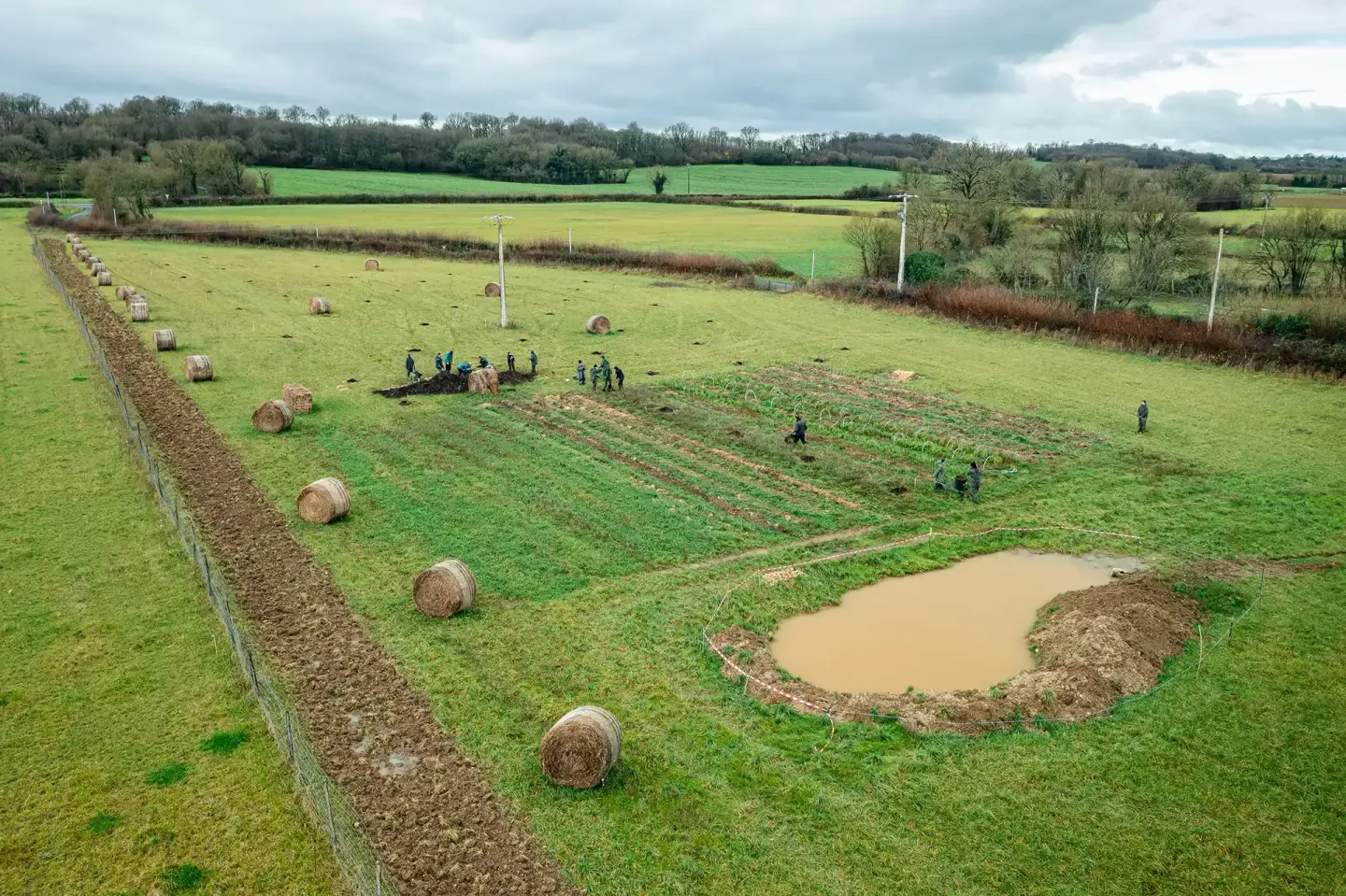 Plantation agroforestière dans une pépinière