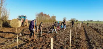 Reboisement d'une parcelle communale