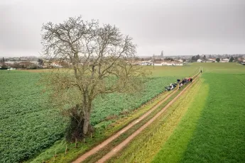 Plantation d'une haie buissonnante