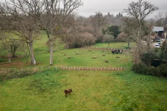 Plantation participative, bocage et variétés anciennes