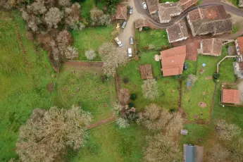 Plantation participative, bocage et variétés anciennes