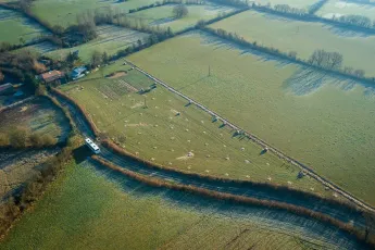 Plantation agroforestière dans une pépinière