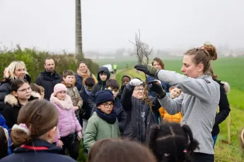 Plantation d'une haie buissonnante