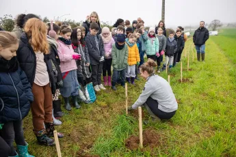 Plantation d'une haie buissonnante