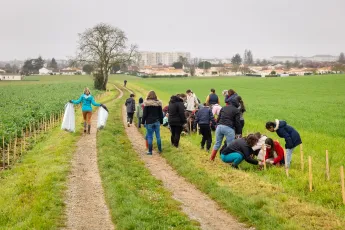 Plantation d'une haie buissonnante