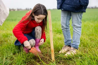 Plantation d'une haie buissonnante