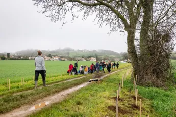 Plantation d'une haie buissonnante