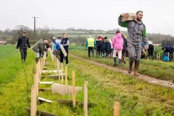 Plantation d'une haie buissonnante