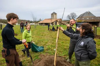 Atelier d’apprentissage au greffage des fruitiers