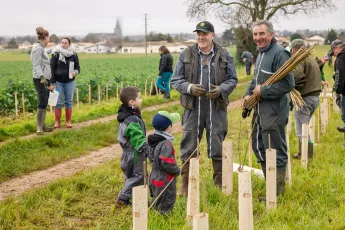 Plantation d'une haie buissonnante