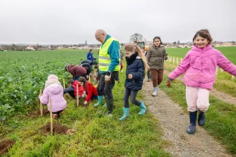 Plantation d'une haie buissonnante