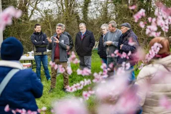 Atelier d’apprentissage au greffage des fruitiers