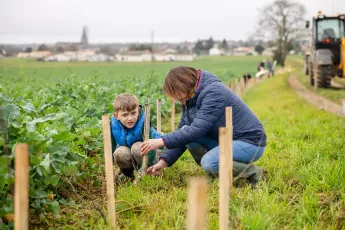 Plantation d'une haie buissonnante