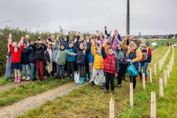 Plantation d'une haie buissonnante