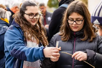 Atelier d’apprentissage au greffage des fruitiers