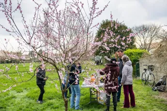 Atelier d’apprentissage au greffage des fruitiers