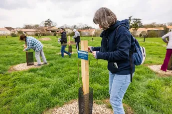 Atelier d’apprentissage au greffage des fruitiers