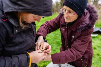 Atelier d’apprentissage au greffage des fruitiers