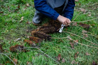 Plantation participative, bocage et variétés anciennes