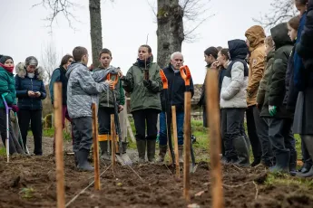 Plantation participative, bocage et variétés anciennes