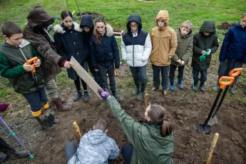 Plantation participative, bocage et variétés anciennes