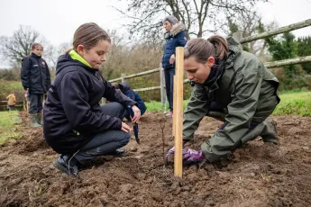 Plantation participative, bocage et variétés anciennes