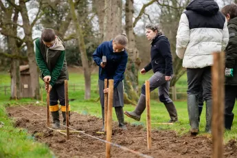 Plantation participative, bocage et variétés anciennes