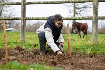 Plantation participative, bocage et variétés anciennes