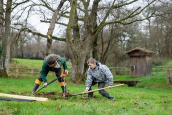 Plantation participative, bocage et variétés anciennes