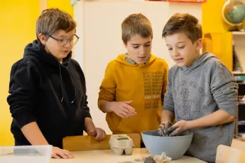 Bombes à graines