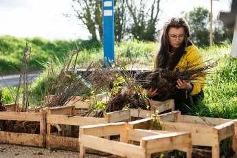 La communauté de l'agro-foresterie