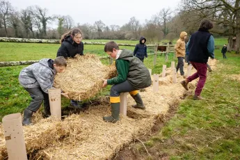 Plantation participative, bocage et variétés anciennes