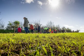 La communauté de l'agro-foresterie