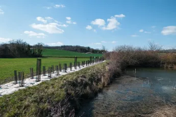 Plantation autour d'une mare