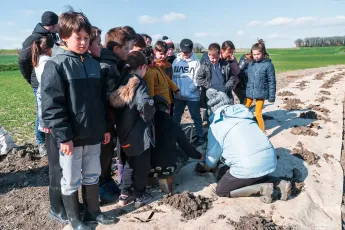 Plantation autour d'une mare