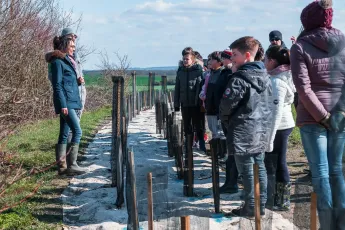 Plantation autour d'une mare