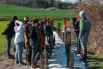 Plantation autour d'une mare