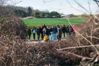 Plantation autour d'une mare