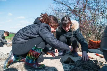 Plantation autour d'une mare