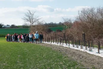 Plantation autour d'une mare