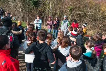 Plantation autour d'une mare