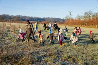 Plantation agroforestière dans une pépinière