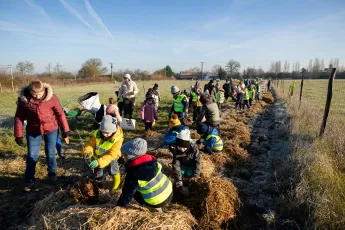 Plantation agroforestière dans une pépinière