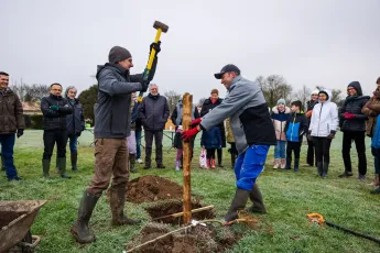 Plantation participative d'un verger méditerranéen