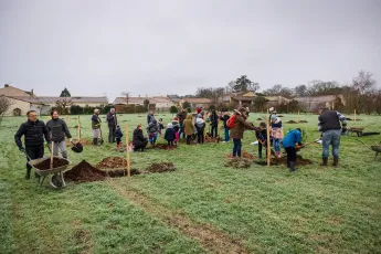 Plantation participative d'un verger méditerranéen