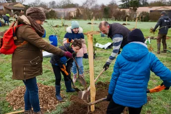 Plantation participative d'un verger méditerranéen