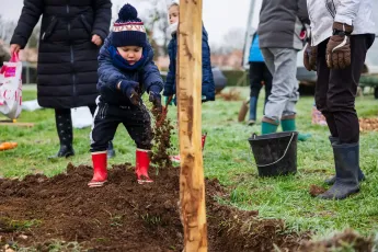 Plantation participative d'un verger méditerranéen