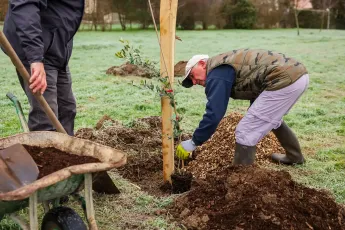 Plantation participative d'un verger méditerranéen