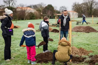 Plantation participative d'un verger méditerranéen