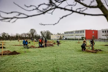 Plantation participative d'un verger méditerranéen